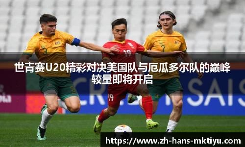 MK体育注册登录